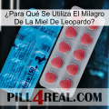 ¿Para Qué Se Utiliza El Milagro De La Miel De Leopardo new14